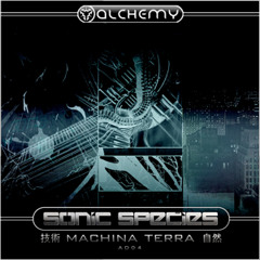 Sonic Species - Infinity