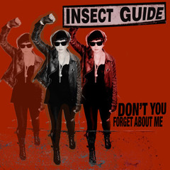 Insect Guide - Don't You (Forget About Me)