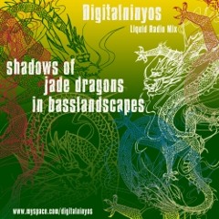 Shadows of Jade Dragons In Basslandscapes - FM4 Liquid Radio Mix / Digitalninyos