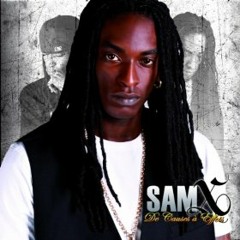 SamX - Haya level