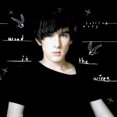 Patrick Wolf - The Gypsy King