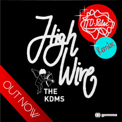 The KDMS - Highwire (D-Pulse remix)