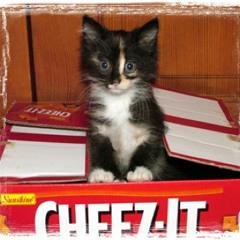 Cheezits