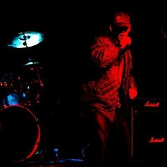 Absolutely Barking Mad