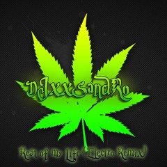 Kottonmouth Kings - Rest of my Life (DJxxSandRo Electro Remix)