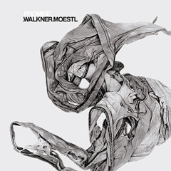 PROMISE - Walkner.Moestl (LYNX REMIX)