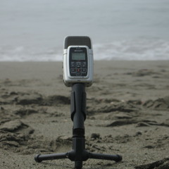 Shi Shi Beach (Washington coast-2010)