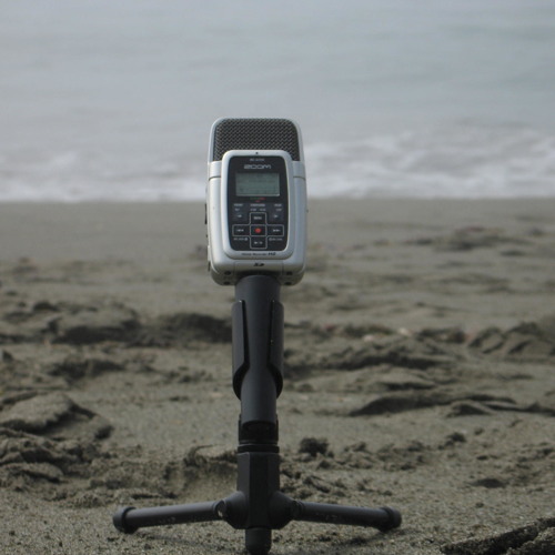 Shi Shi Beach (Washington coast-2010)