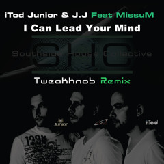 I Can Lead Your Mind (Tweakknob Remix) - Junior, iTod &amp; J.J Feat MissuM