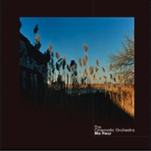 The Cinematic Orchestra  : Child Song feat Eska  [Taylor McFerrin Sao Paulo Remix]