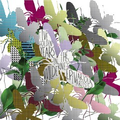 Rodamaal - Insomnia (Kemistry Remix) [Buzzin Fly]