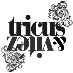 STEREOTYP - KEEPIN ME (TRICUS&VITEZ REMIX)