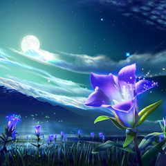 Moonflower