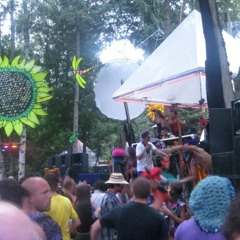 Shambhala 2010 Fractal Forest Set