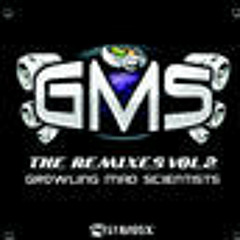 MAD MAXX vs XSI-THE SHAMEN (Gms Rmx)