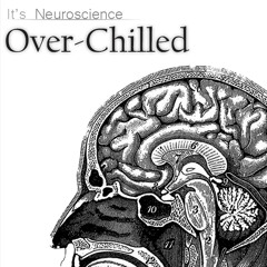 It's Neuroscience - Santa Maria