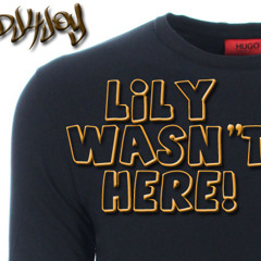 DJ4Joy - Lily Wasn't Here
