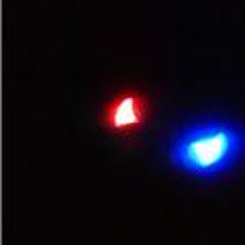 This is Your Last Chance, 2004 atomfox