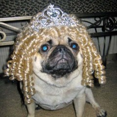 Richard T Bear - Sunshine Hotel (Hedley Edit)