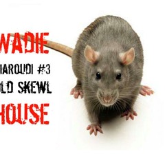 Wadie Maroudi#3 Old Skewl House Mix