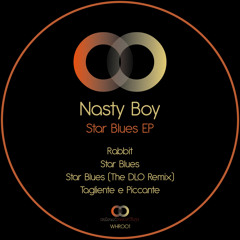 NastyBoy - Star Blues ( theD.L.O. rmx)