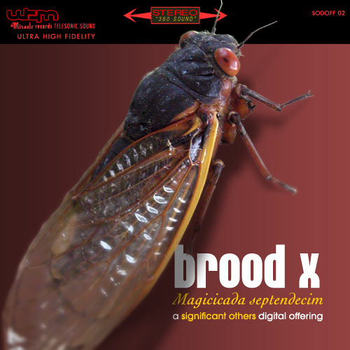 Brood X (Magicicada septendecim)