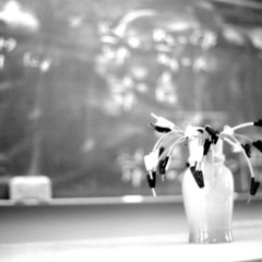 This Trip Should Be Better Than The Last One