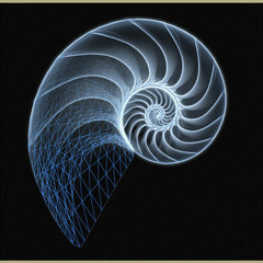 THE GOLDEN RATIO - SPIRALS