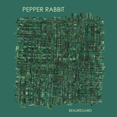 Pepper Rabbit Older Brother