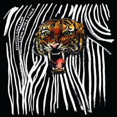 03 Acoustic Ladyland - Living With A Tiger