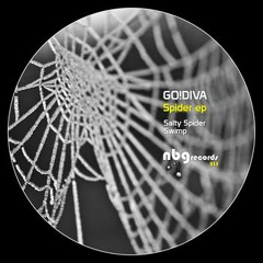 Salty Spider, out now on Beatport, Juno, etc.