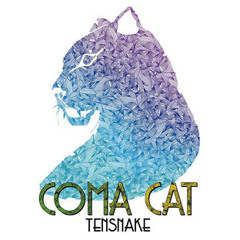 Tensnake - Coma Cat RTK Remix