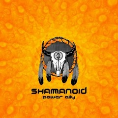 01 Shamanoid - Vietcong Yellow Star (156 bpm)