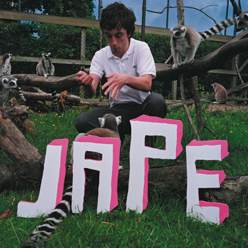 'The Monkeys In The Zoo Have More Fun Than Me' Album 2004
