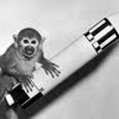 Black sushi - On a mission mp3 preview2