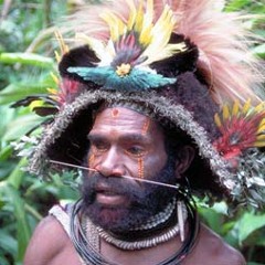 Future Sound Of London - Papua New Guinea (stepper Dubstep Bootleg)