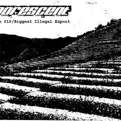 Sonorescent - Propagation 010 - Biggest Illegal Export (No Intro Just music Update)