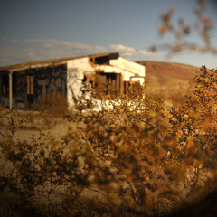 Electric Gypsy Shuffla mix - Earl Grain