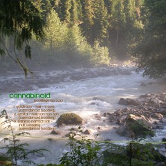 Goldfrapp - Hairy Trees (Cannabinoid bootleg)