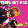 Elephant Man SHAKE IT sound clip (30sec) TBR 2010