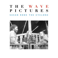 The Wave Pictures - Blind Drunk