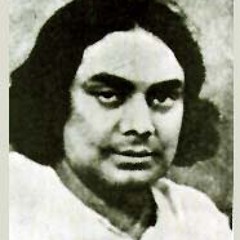Bidrohi