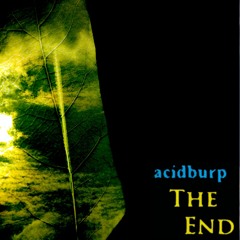 THEM011 :: Acidburp - Lazy Acid