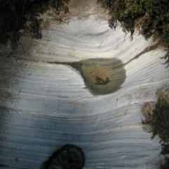 Rondo of Small Particles