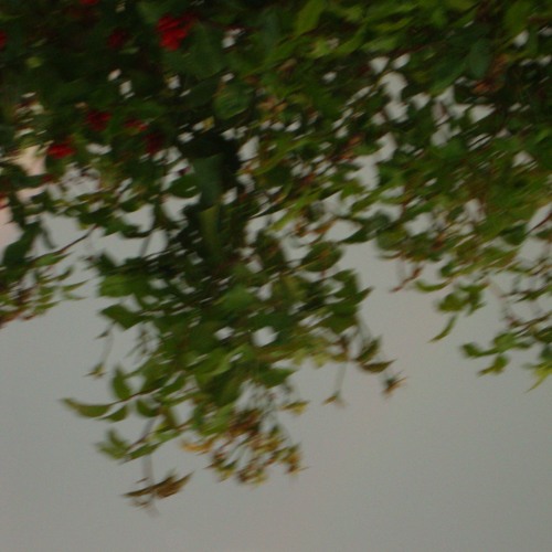 lonelypathway