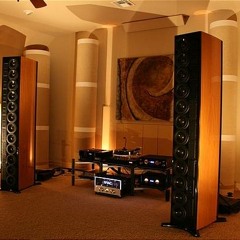 Dj Bizerk - Live From Your Fucking Speakers (2010)