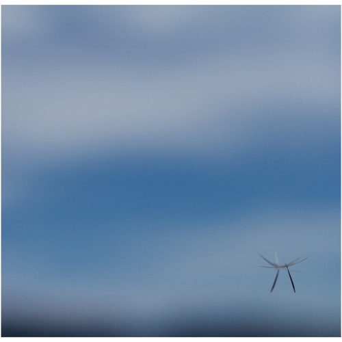 Logreybeam - 'Premonition' (EVAC Remix)