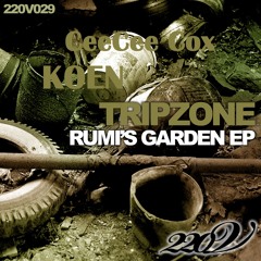 Tripzone, Koen, Cee Cee Cox - Rumi's Garden
