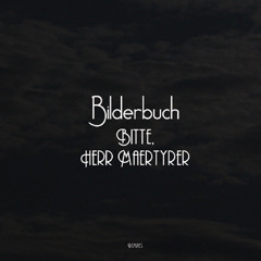 Bilderbuch - Bitte Herr Maertyrer (A.G.Trio Remix)