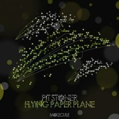 Pit Stoner - Flying Paper Plane (David Call Remix) [Molecule]